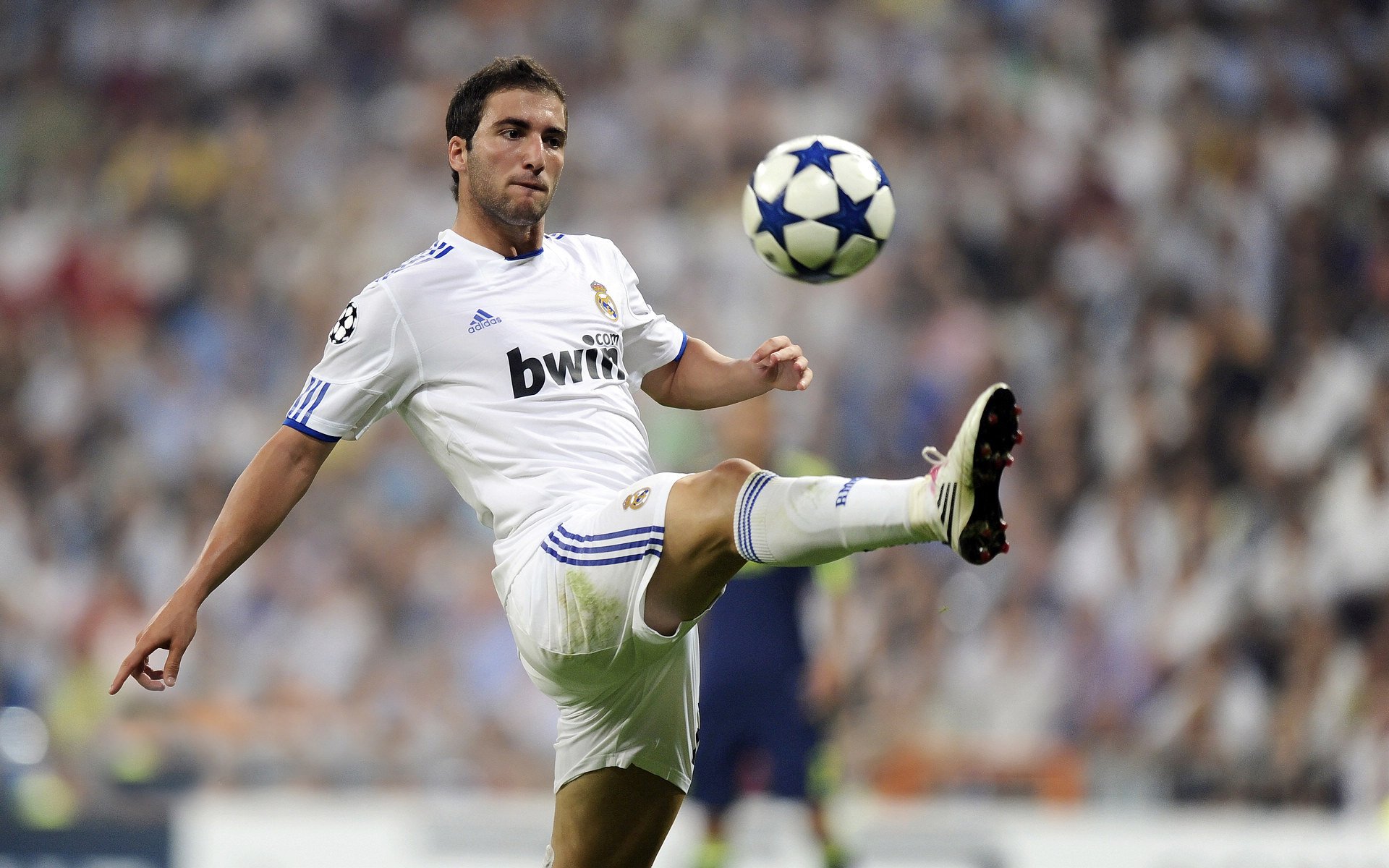 卡昂主场告负，法国联赛保级局面不容乐观，法乙卡昂对勒阿弗尔